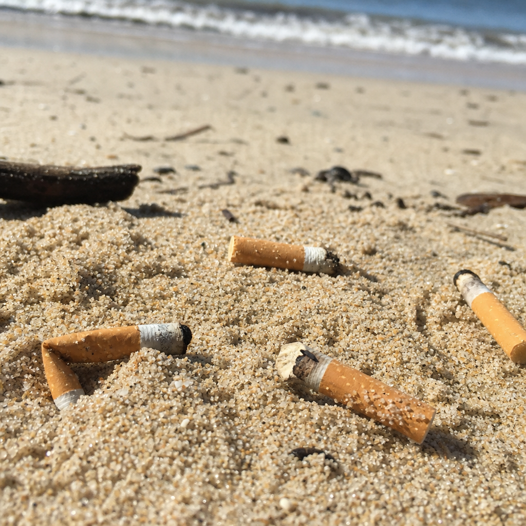 Cigarette butts half-buried in beach sand near the waterline